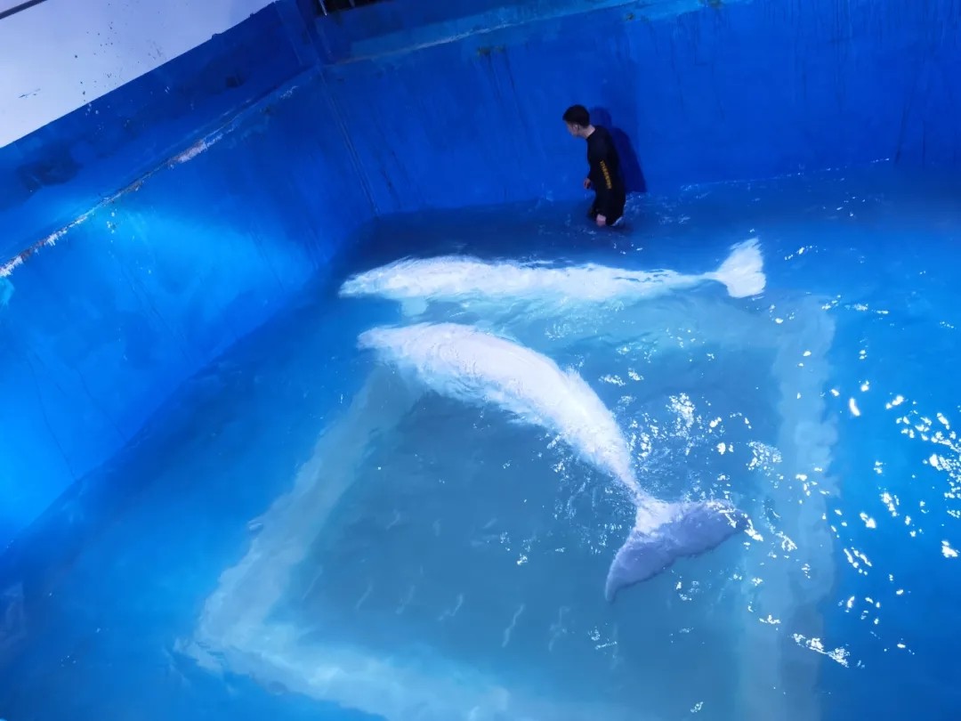 微信图片_2021051408504413.jpg 微信图片_2021051408504413.jpg