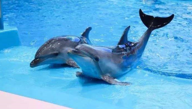 微信图片_20210514091125.png 微信图片_20210514091125.png