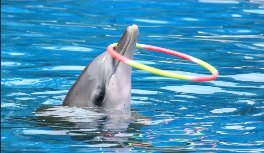 微信图片_202105140911251.jpg 微信图片_202105140911251.jpg