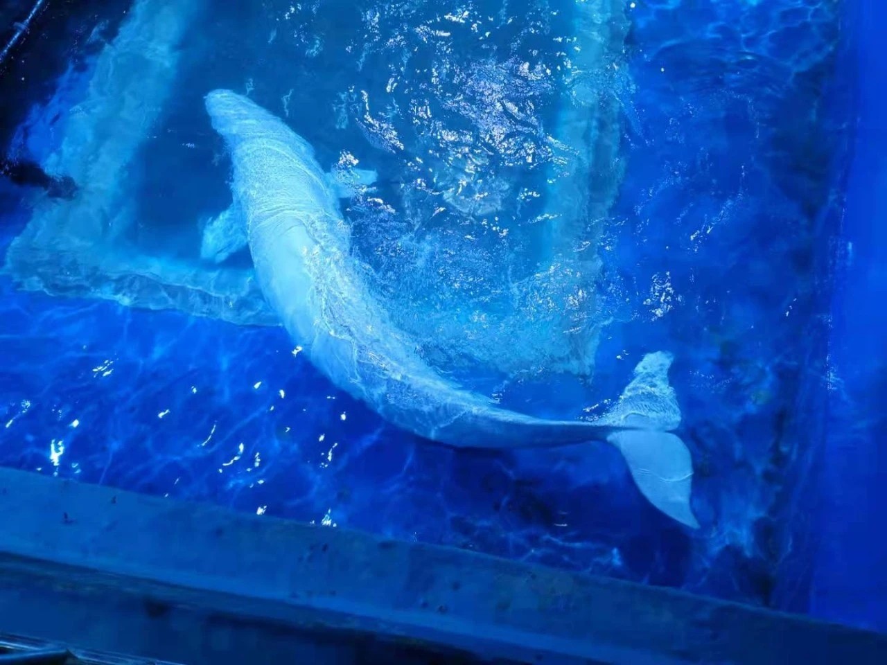 微信图片_2021051408504414.jpg 微信图片_2021051408504414.jpg