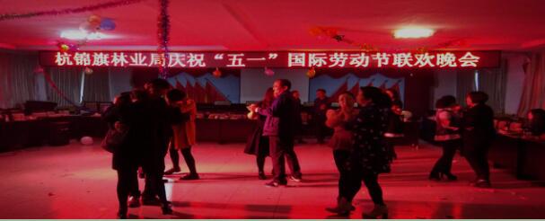 林业局图片1.jpg
