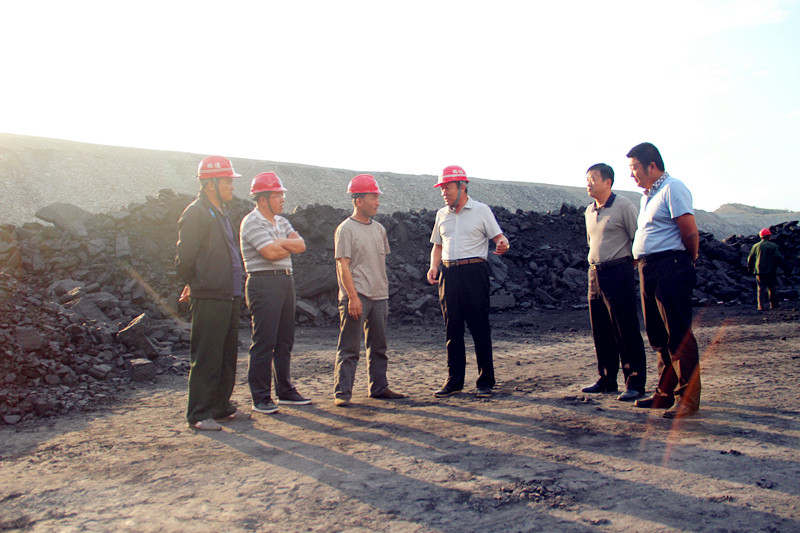 3条总裁贺柱林一行赴瑞德一矿.jpg