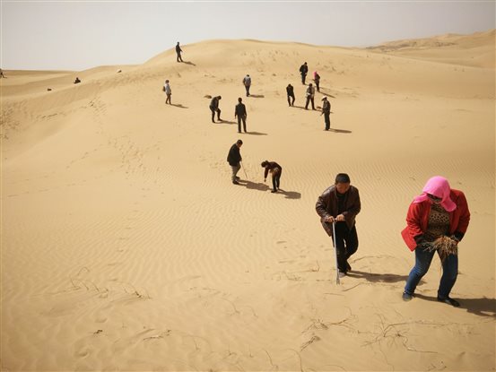 E:白雨6年图片四月.1清明种树QQ图片20160405100502.jpg