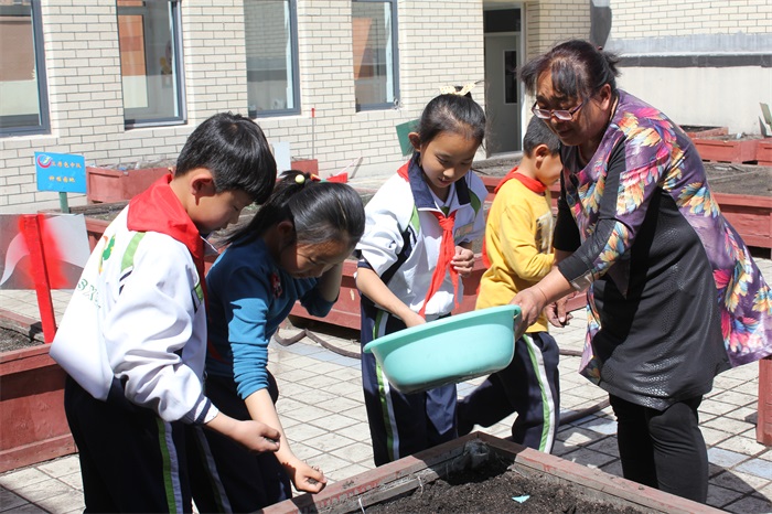 康巴什第四小学劳动节活动之 开心种植园播种.JPG